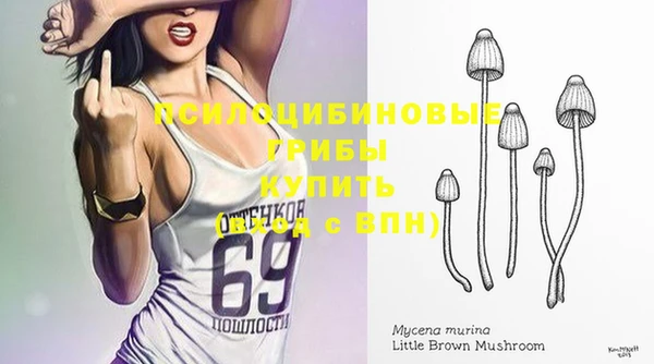 наркотики Дмитриев