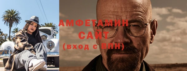 сатива Дмитровск