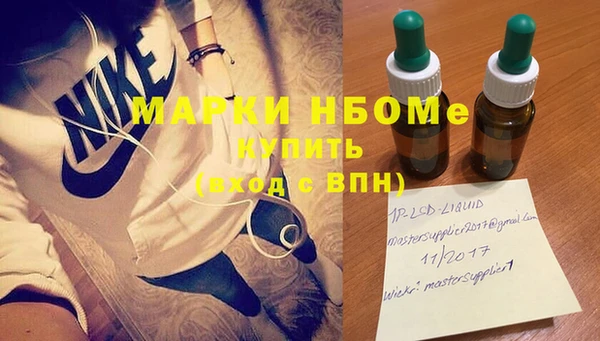 сатива Дмитровск