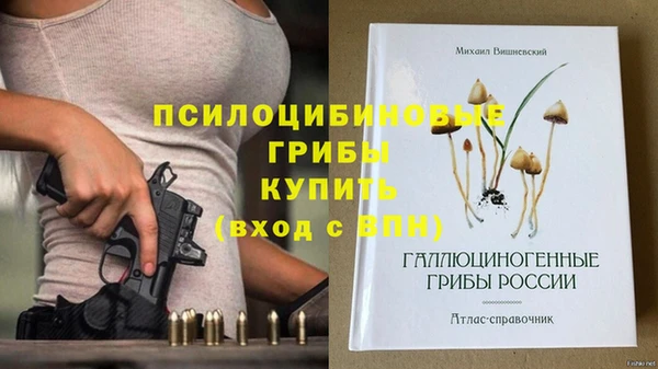 сатива Дмитровск
