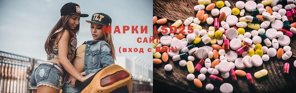 сатива Дмитровск