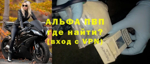 сатива Дмитровск