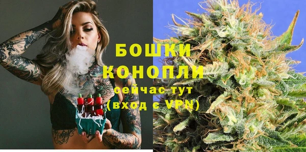 сатива Дмитровск