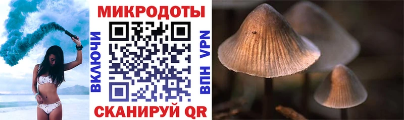 Купить  Дальнереченск  Галлюциногенные грибы ЛСД 